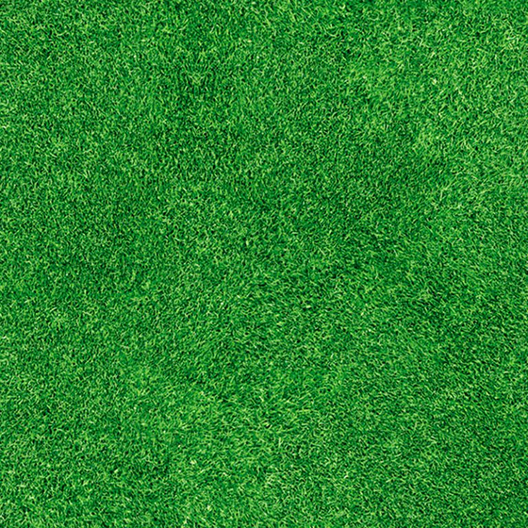 Printed carpet - GRASS